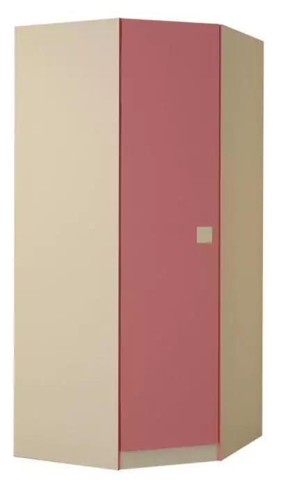 Угловой распашной шкаф Радуга дизайн 2