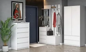 Модульная прихожая Айден (белый)
