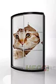 Радиусный шкаф купе Мебелеф-3 Коричневый 