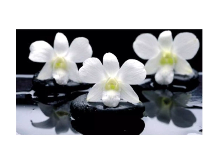 Стол обеденный раздвижной с фотопечатью Нью-йорк Орхидея на черных камнях/Белый муар 4